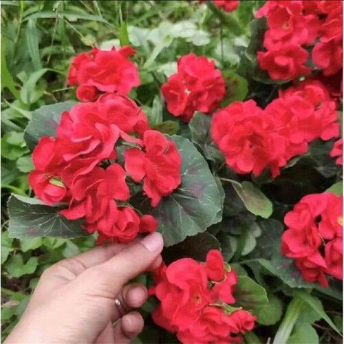 2 Pcs 12.6inch Artificial Geraniums Flowers Nonwoven Faux