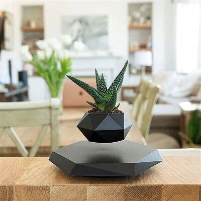 Floating Plant Pot Levitating Plant Pot for Succulents air