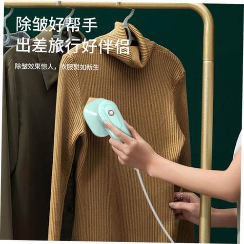 Handheld Steamer Portable Steam Electric iron 220V 1000W1