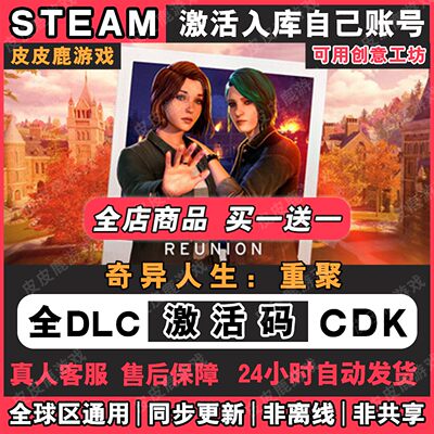 Steam正版奇异人生重聚Li