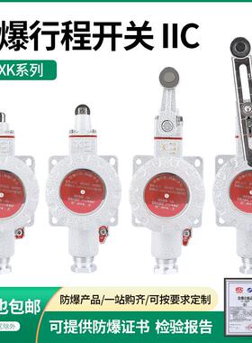 防爆行程开关IIC限位DLXK-D/B/N/L/H/Z隔爆LX5-baz脚踏单双踏EX