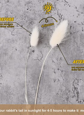 60Pcs Mix Lagurus Bunny Tails Pampas Grass Decor Home Cake D