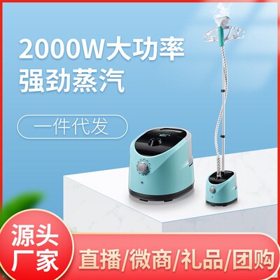 electric compact iron steam soleplate clothes steamer 电熨斗