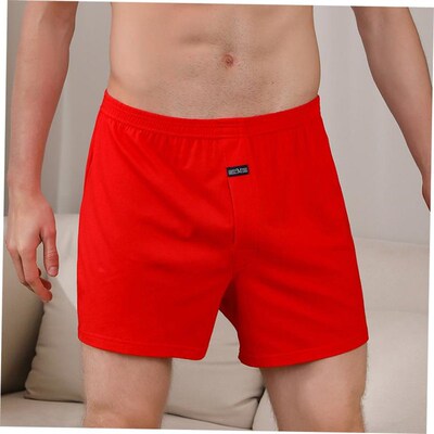 4X Mens boxer briefs loose men boxers underpants under wear