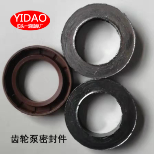 KCB专用一道油泵厂氟胶丁青四氟填料齿轮泵配件石墨骨架油封密封