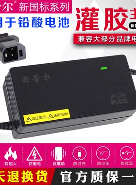 西普尔充电器2024新国标48v12ah铅酸电瓶48v20ah带协议2+2插头D头