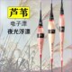 高端芦苇夜光漂咬钩变色高灵敏水无影冷光尾浮漂罗非电子鱼漂