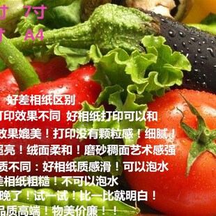 彩色喷墨打印机RC进口相纸L801相纸A46寸5寸7寸光面绒面绸面磨砂