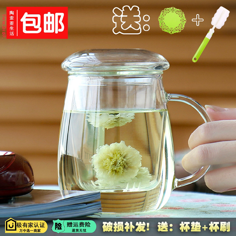 物生物过滤玻璃杯家用茶水分离泡茶杯耐热水杯女透明带盖花茶杯子
