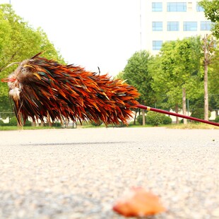 鸿涤纯手工除尘鸡毛禅子毯子汽车家用不掉毛可伸缩加厚鸡毛掸子