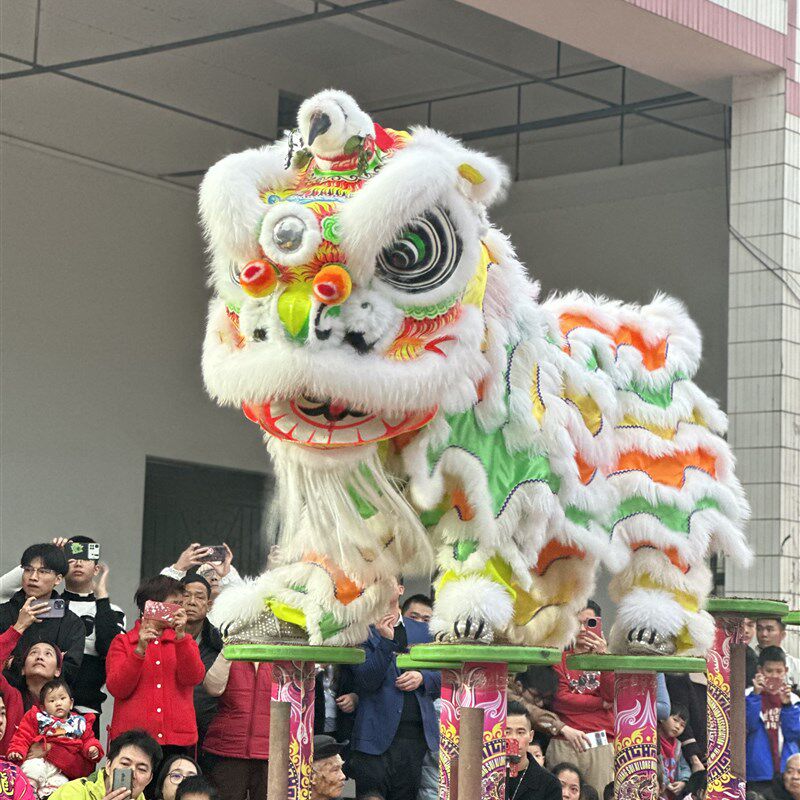 醒狮 南狮 刘备狮 佛装狮 舞龙舞狮 舞狮头高桩狮 广东醒狮 龙狮