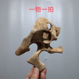 奇石太湖石原石摆件英石灵璧石玲珑石风凌石盆景附石菖蒲石墨石