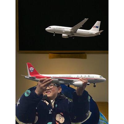 带轮子带灯A319四川航空3U8633中国机长同款飞机航模彷真客机模型