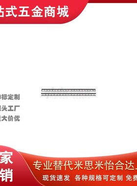 BLR01/02/05/06/11/12/15/16-L100-200 300 600刻度横向型 45标尺