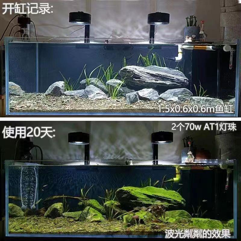 新款鱼缸灯LED全光谱溪流原生缸金鱼兰寿泰狮爆藻出苔灯 包邮