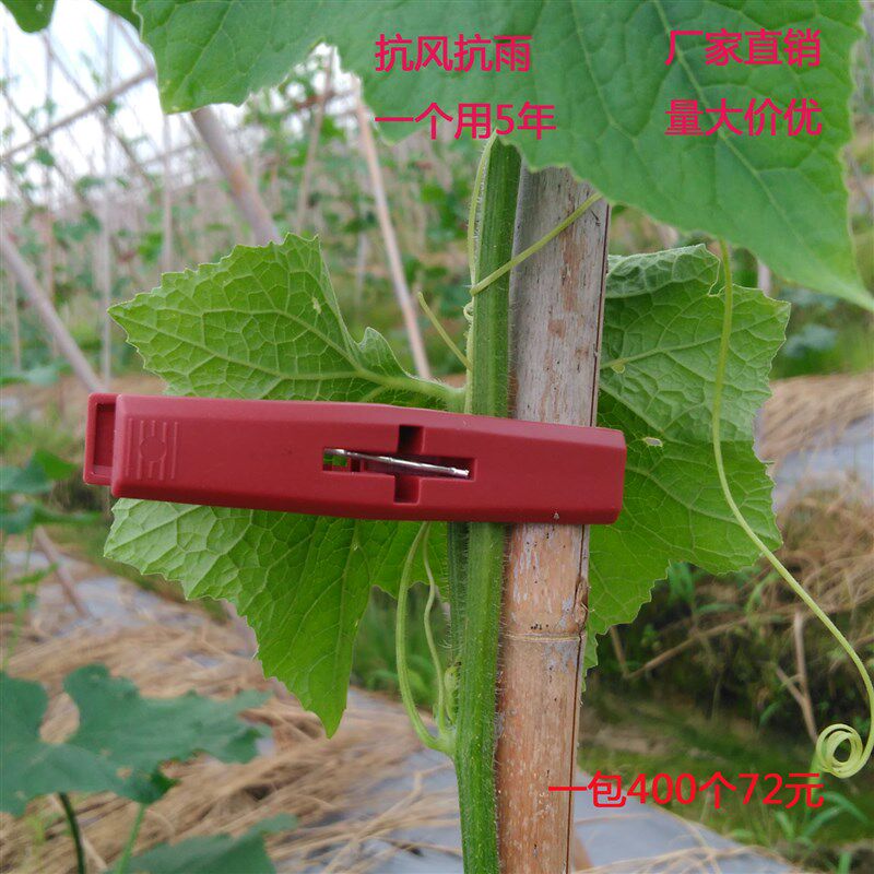 冬瓜夹黄瓜藤蔓夹扶蔓扶藤夹子塑料绑蔓夹固定夹多功能农业蔬菜夹,农机/农具/农膜,其它农用工具,淘宝优惠券,粉丝福利购,淘宝优惠卷