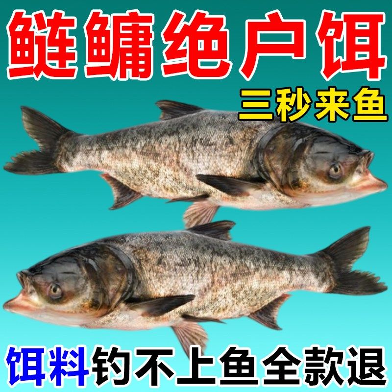 金版浮钓鲢鳙饵料桶装手杆专用鲢鱼花白鲢大头鱼饵野钓黑坑饲小药,户外/登山/野营/旅行用品,台钓饵,淘宝优惠券,粉丝福利购,淘宝优惠卷