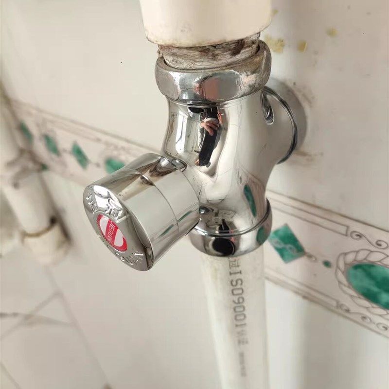 厕所冲水手按式蹲便器冲洗门开关延时卫生间大便器按压便池