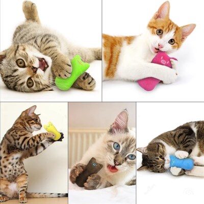 Cat Toys Funny Interactive Plush Teeth Grinding nip Toy Kit1