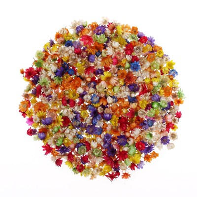 200pc Real Dried Flowers For DIY Art Craft Epoxy Resin Candl
