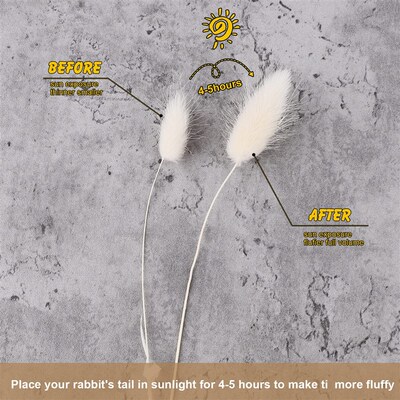 60Pcs Mix Lagurus Bunny Tails Pampas Grass Decor Home Cake D