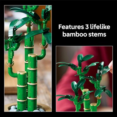 Lucky Bamboo Building Set,Artificial Fake Plant Decoration
