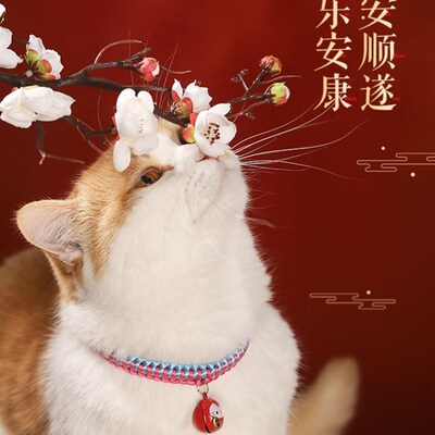Pet dog collar cat collar bell necklace accessories项圈猫
