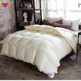 95% white goose down winter quilt comforter blanket duvet 被