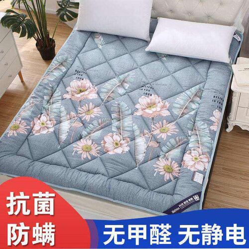 Mattess coral fleece mattess..bed warm dormitory tatami doub