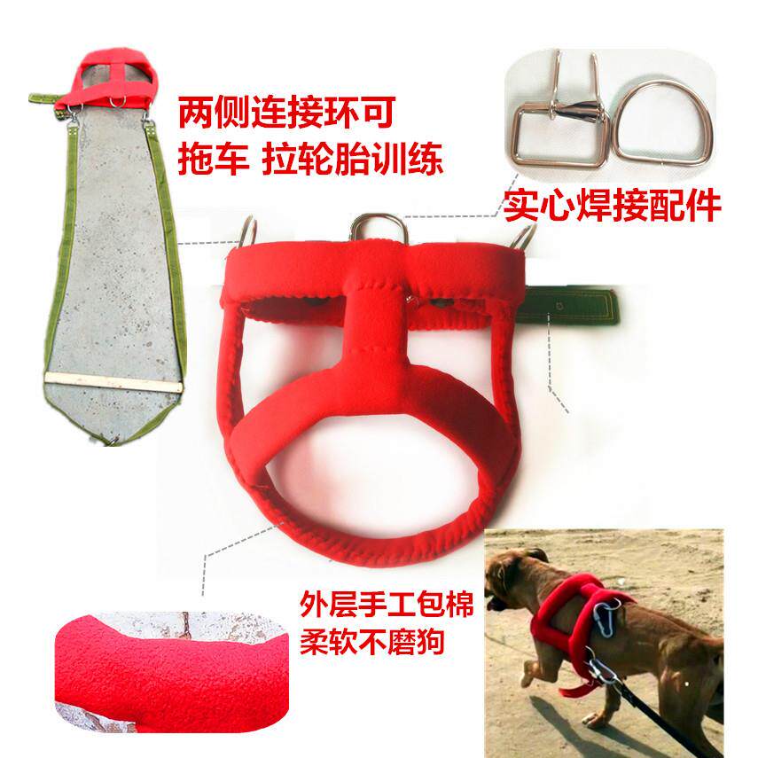 大型犬中型比特犬猛犬项圈脖套防磨金毛狗套背带加棉脖圈狗狗项