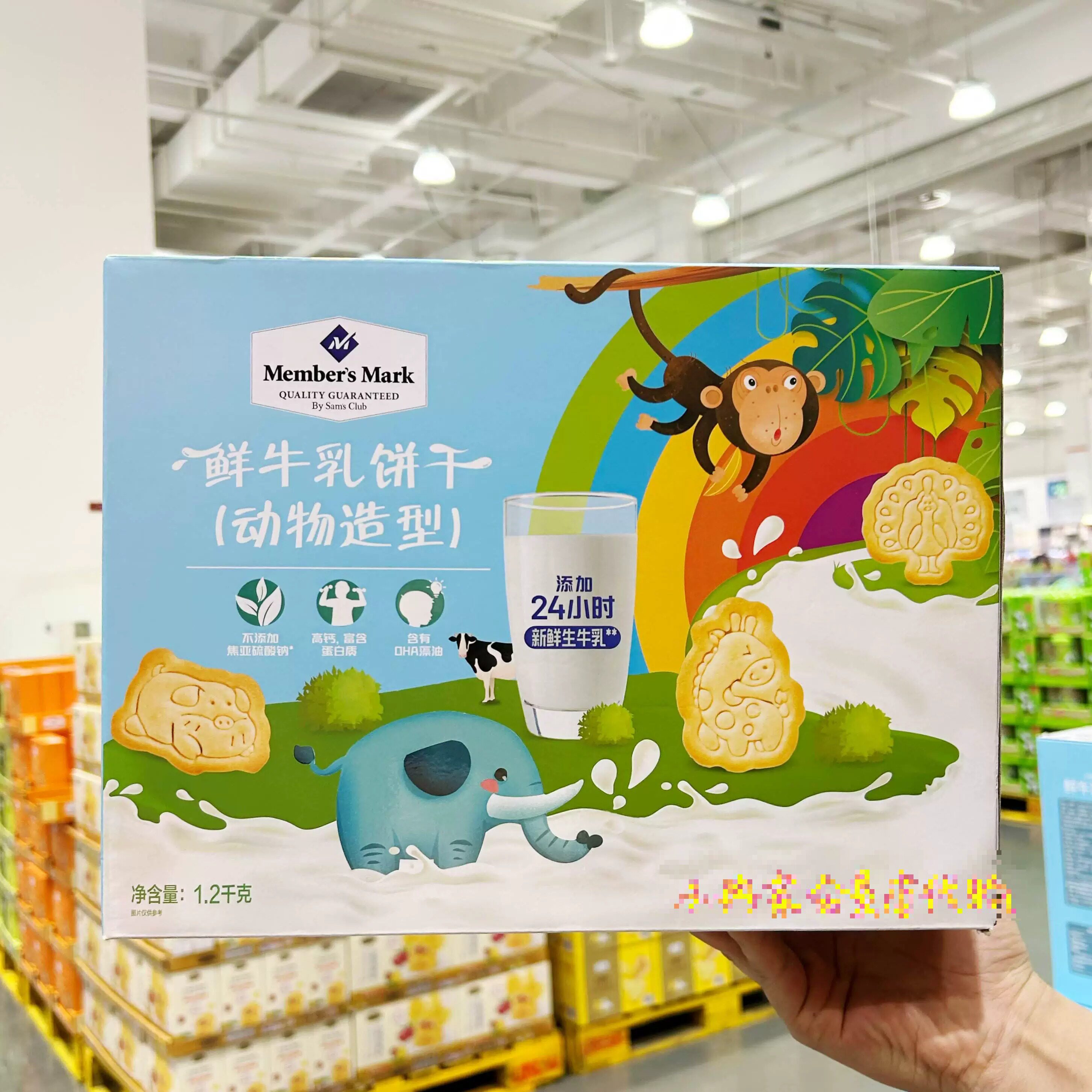 山姆代购鲜牛乳动物饼干造型独立包装儿童健康休闲零食年货食品