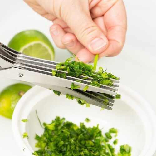 19CM Minced 5 Blades Stainless Steel Kitchen Scissors Herb C