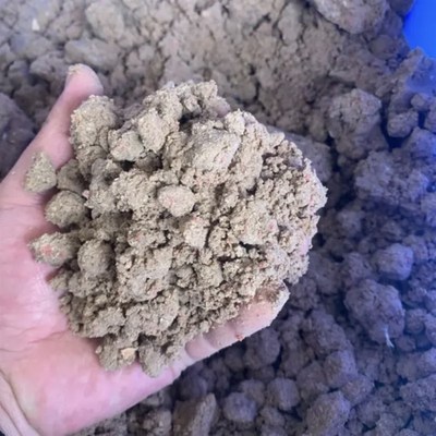 爆护鲢鳙饵料抛竿野钓白鲢浮钓大头鱼鱼饵发酵湿饵料秘制聚鱼药水