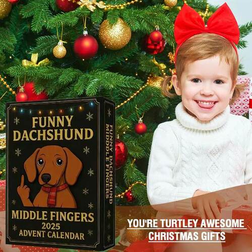 2025 Funny French Bulldog Advent Calendar Hilarious Frenchie