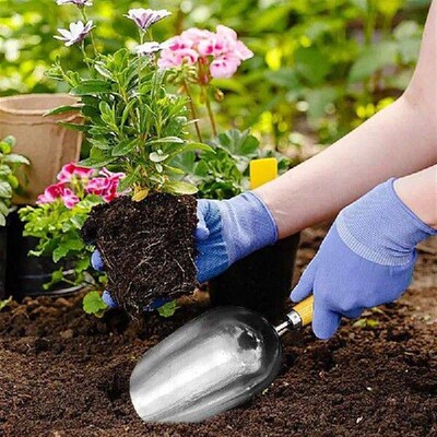 Potting Soil Scoop Wooden Handle Hand Garden Shovels