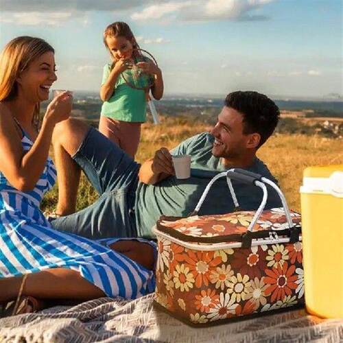 Large Insulated Picnic Baskets 30L Portable Folding Cooler
