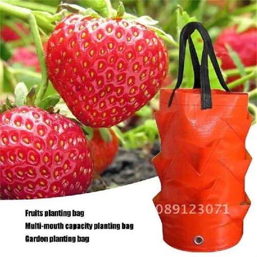 Garden Planting Bag Strawberry Grow Bag 3L Multi-mouth