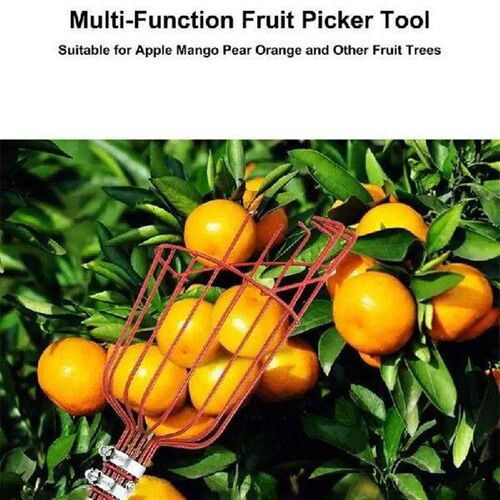 Garden Basket Fruit Picker Head with Telescopic Extendable
