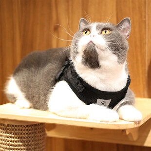Cat Collar Vest Harness Leash For Dogs Cats Kitten Adjustabl