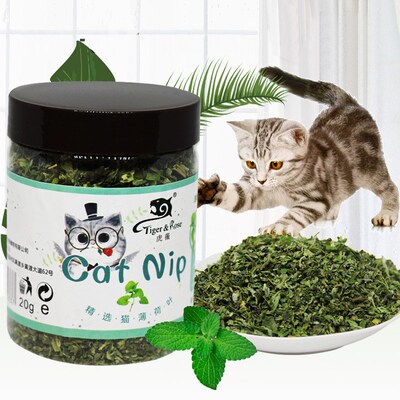 100% Natural Cat nip Organic Catnip Cat toys appetite