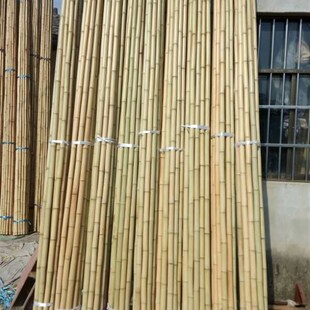 竹竿菜园搭架棍蔬菜黄瓜番茄豆角架种菜竹篱笆栅栏菜架竹竿爬藤架
