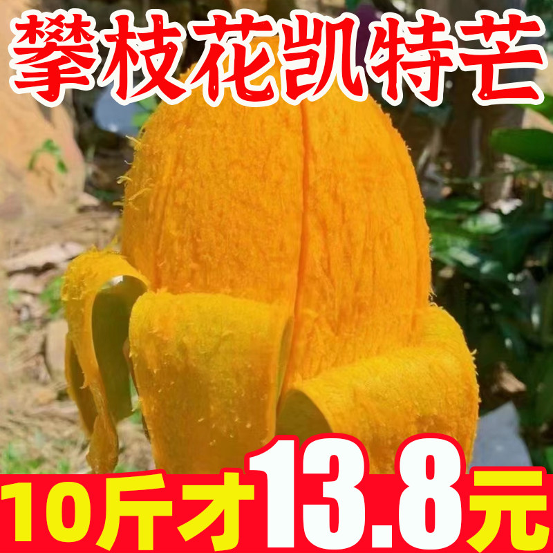 【乡村振兴】正宗四川攀枝花凯特芒新鲜应季水果肉厚多汁
