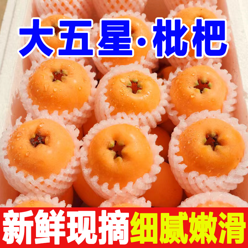 【乡村振兴】四川大五星枇杷新鲜应季水果香甜软糯多汁