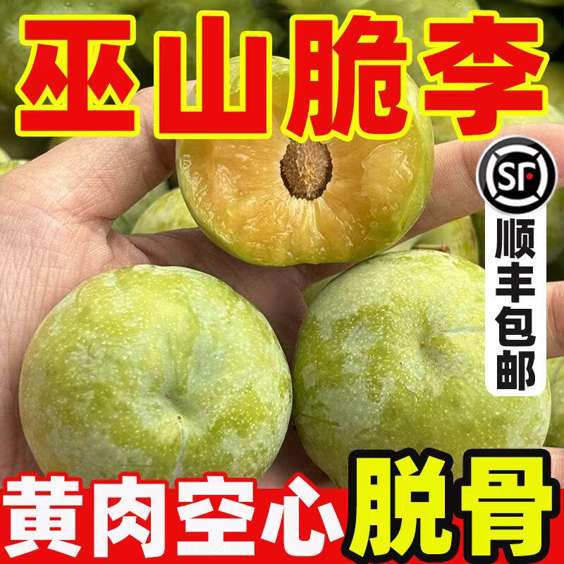 【顺丰包邮】正宗巫山脆李新鲜现摘当季脆甜爽口应季水果整箱包邮