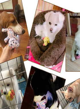 1pcs Bite Resistant Pet Dog Chew Toys  for Small Dogs Cleani