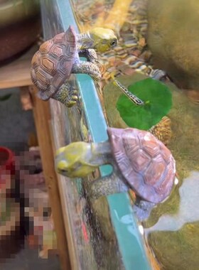 小乌龟盆挂缸挂创意树脂装饰品摆件鱼缸水池造景