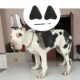 Stand Ear Support Large Pet Sticker Dog