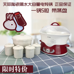 天际炖锅隔水炖电炖盅全自动煮粥煲汤蒸锅陶瓷家用大容量 5-人