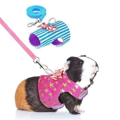 Pet Harness Rabbit Hamster Bowtie Striped Star Vest Leash