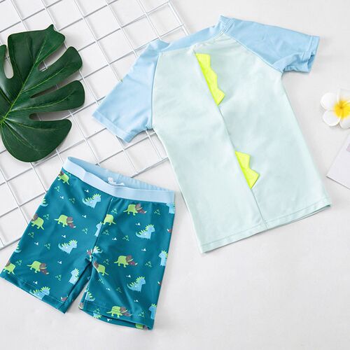 Cartoon Dinosaur Childrens Swimsuit Swimming Trunks Quick-d